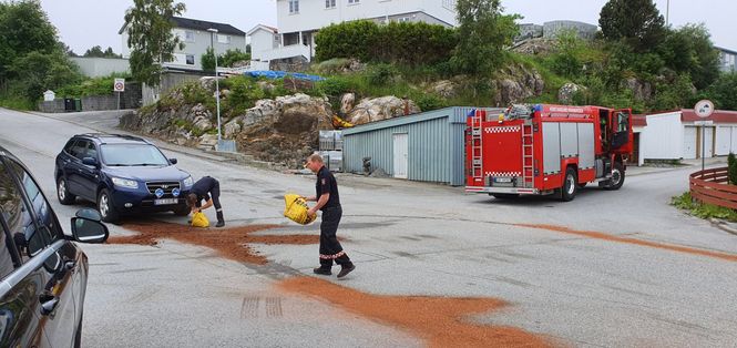 Hovedbilde Zugol absorberende bark 40 L sekk - Oljeabsorbent