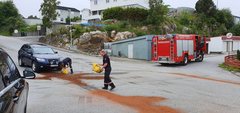 Zugol absorberende bark 40 L sekk - Oljeabsorbent